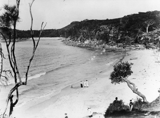 Shelly Beach and Manly Fairy Bower